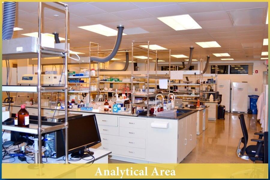 08Analytical Area