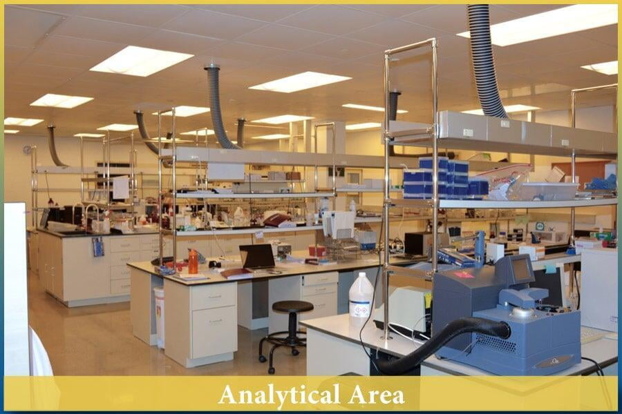09-Analytical Area