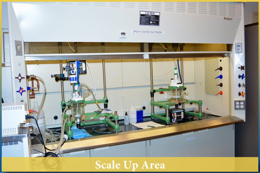 10-Scale Up Area