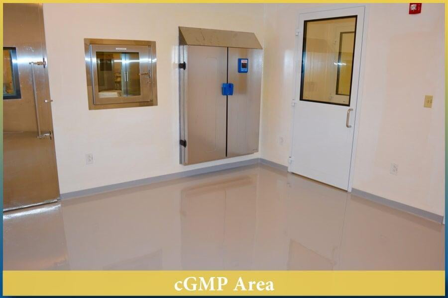 06-cGMP Area