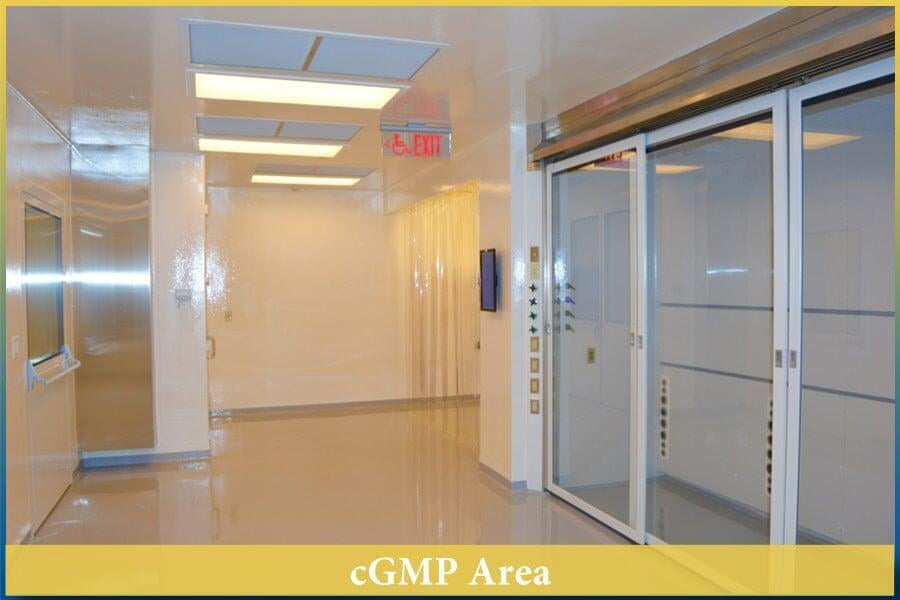 07-cGMP Area